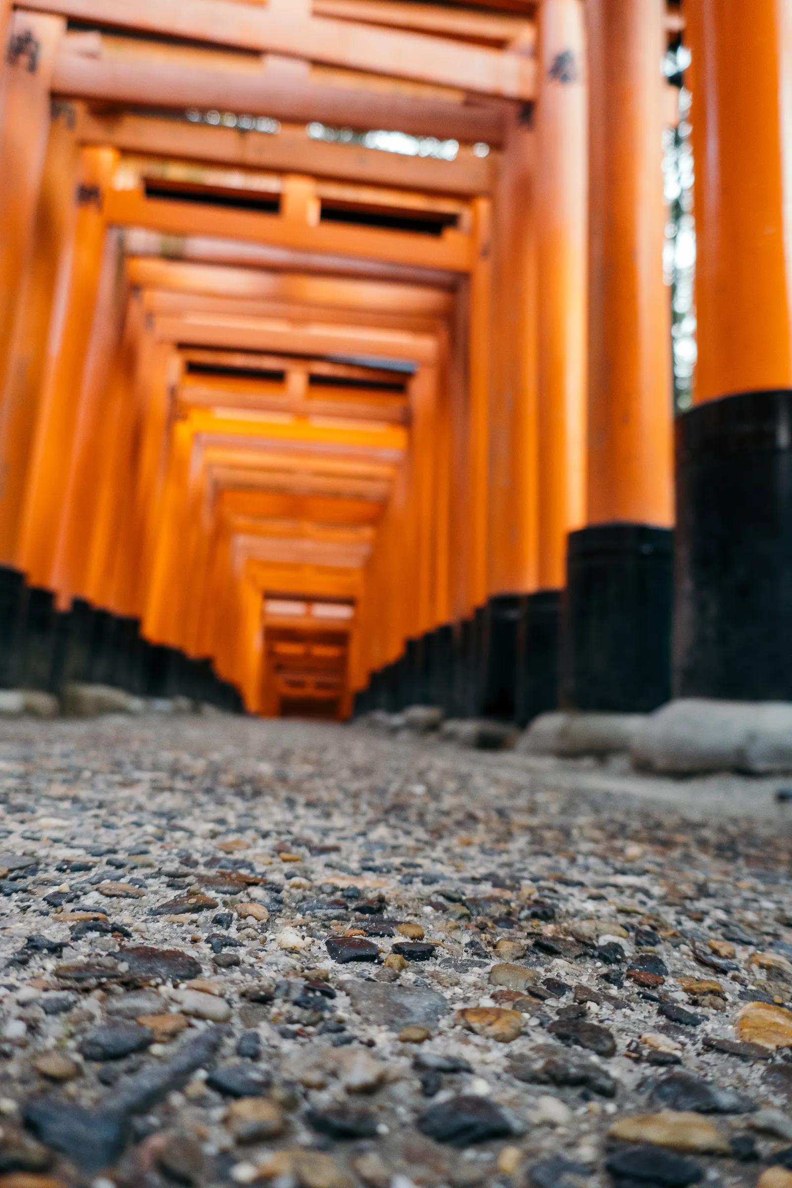 A low view along the base of close-set vermilion gates.