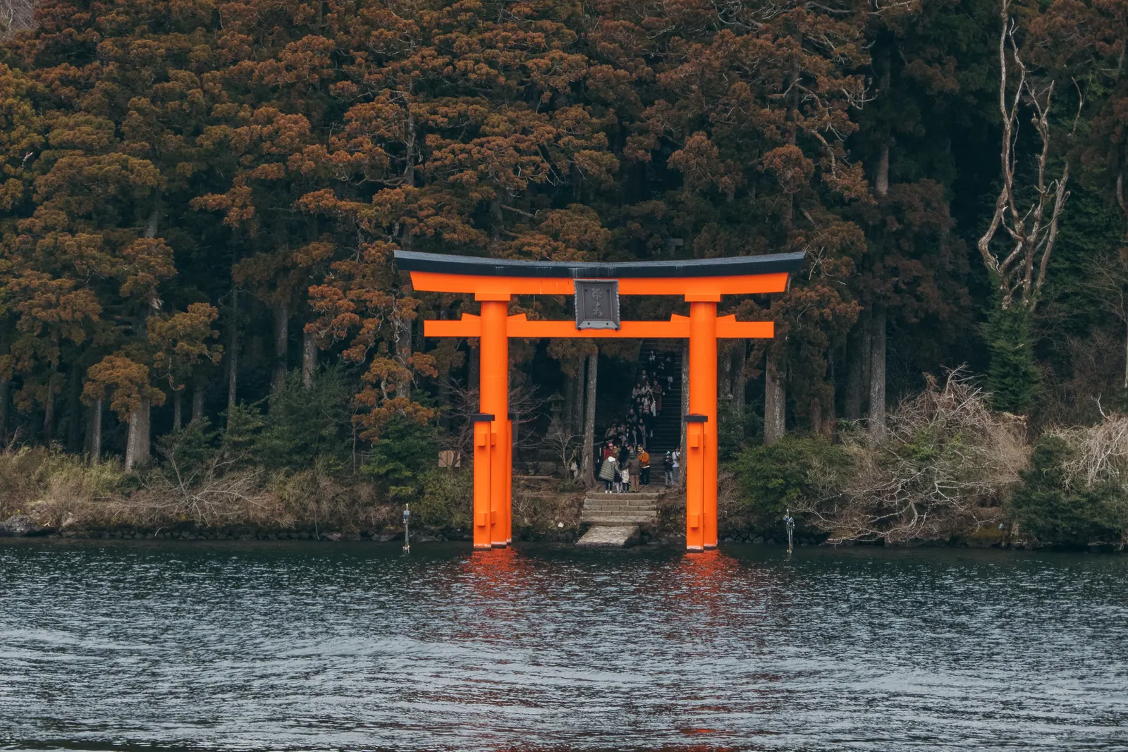 A vermilion torii standing in a lake at the edge of a forest.