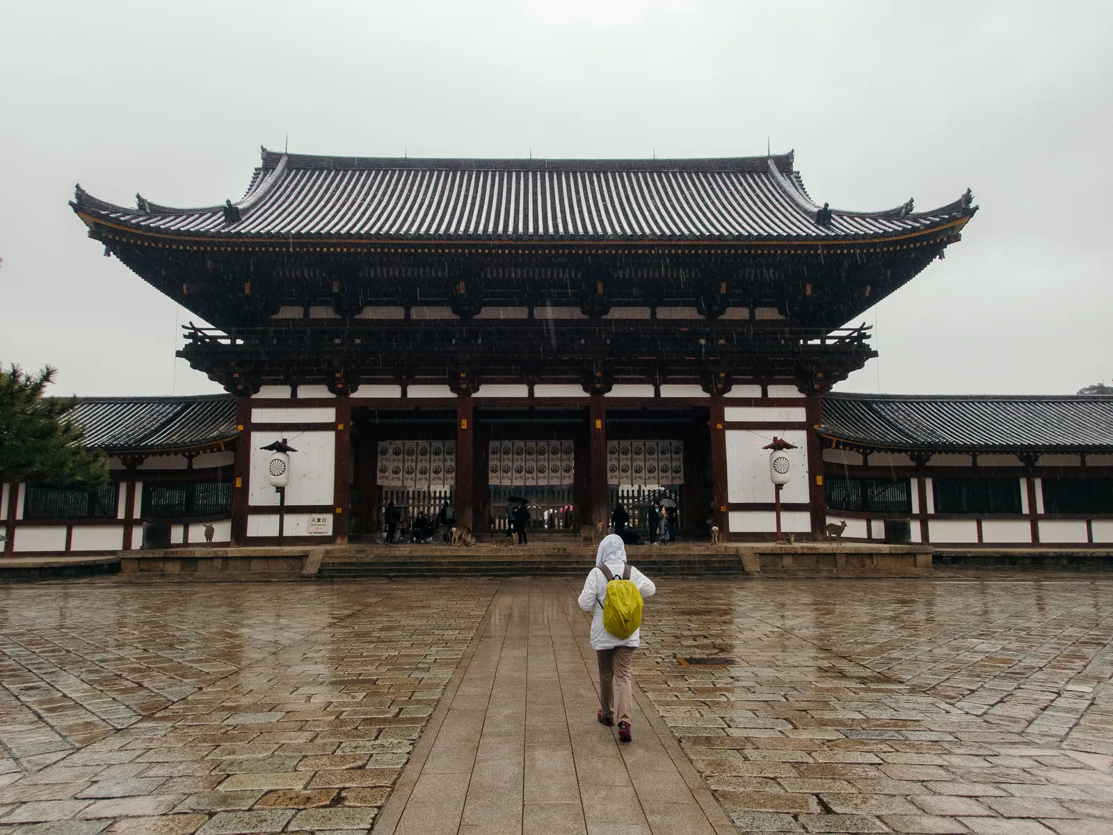 A great wooden temple hall across a wet courtyard, a lone visitor.