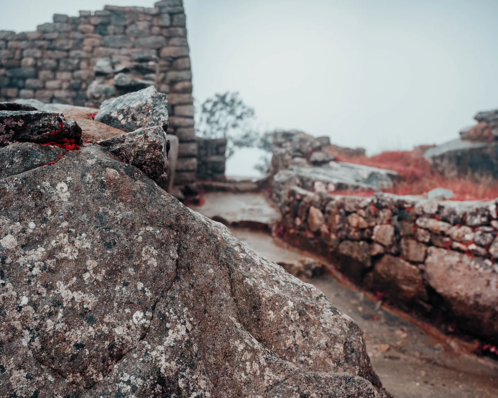 Close view of lichen-covered stone, with ruined walls and red-tinted grass falling away below.